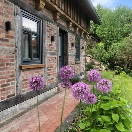 Haus Am Fischendorfer Bach Vila Bad Fallingbostel Exterior foto